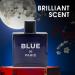 Vintage Heroes Noir&Blue De Paris Combo Cologne for Men/Eau de Parfum Natural Spray Top Notes of Green Apple and Lemon Middle Notes of Tonka Bean Base Notes of Geranium- Natural Spray 100ML - Buy Online on GoSupps.com