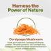 Go Nutra Cordyceps Mushroom Powder | Cordyceps Extract 30% Polysaccharides Non-GMO Pure Cordycep Powder 8 oz. (225 Grams) 8 Fl Oz (Pack of 1) - Buy Online on GoSupps.com