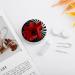 Buy Red Flower Print Plastic Contact Lens Case | Travel & Care Box for Contact Lenses - Buy Online on GoSupps.com