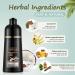 Blonde Brown Hair Dye Shampoo - 3 in 1 Coconut Formula for Gray Coverage | Herbal Brown Shampoo for Men & Women - 16.9 Fl Oz - Buy Online on GoSupps.com