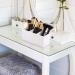 Makeup Brush Holder Organizer - 3 Slot Cosmetic Brushes Container for Vanity (White) - Buy Online on GoSupps.com
