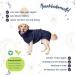 Shop Lills Dog Wadder - 100% Organic Cotton Bathrobe for Dogs | Extra Absorbent Night Blue | Size 4XS (30cm Back Length) - International Shipping Available - Buy Online on GoSupps.com