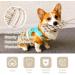 4-Piece Cotton Rope Dog Toy Set | Chew Toys for Small & Medium Dogs | Dental Care Puppy Toys with Knot Ball - Buy Online on GoSupps.com