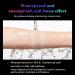 Onebikiniha 2-In-1 Cushion Pressed Powder Concealer Liquid Foundation - Natural Full Coverage Air Cushion Foundation - Waterproof Makeup - Buy Online on GoSupps.com