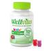 Wellvites Kids Multivitamin Gummies - Sugar Free Vegan Non-GMO Vitamins for Kids - Vitamin A D B6 B12 and C - No Artificial Sweeteners Gluten Free Gelatin Free - 60 Count (30 Day Supply) Kids' Multi