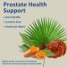 SERSANVE Prostate Health Support Supplement with Mushroom Blend Saw Palmetto Promote Prostate Supports Energy Heart Health Muscle Growth and Blood Circulation 90 + 60 Capsules - Buy Online on GoSupps.com