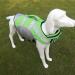 Hzqifei Reflective Dog Life Jacket - Lavish Swimming Vest for Small Medium & Large Dogs - Green (Large) - Buy Online on GoSupps.com