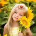Shop Dhweku 12pc Baby Hair Clips - Cute Plush Flower Hairpins & Accessories for Baby Girls - Buy Online on GoSupps.com