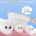 Buy 5 Replacement Brushes for SEAGO SG977/SGEK6/DT-K6 Children's Electric Toothbrush - International Shipping Available - Buy Online on GoSupps.com
