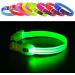 YFBrite Luminous Dog Collar - USB Rechargeable LED Adjustable Neck Band for Dogs & Cats | Durable Flashing Collar for All Sizes (Green XS) - Buy Online on GoSupps.com