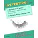 10 Pairs Naturally Looking C-Curl Thin Band Reusable Eyelashes - Wispy D-M05 (10mm) for Stunning Eyes - Buy Online on GoSupps.com