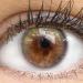 Buy Starch-Free Colored Monthly Contact Lenses - Bianco Green Soft Hydrogel (0.0 Diopters) - 2 Pieces + Lens Container - Buy Online on GoSupps.com