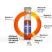 Orthomol Immun Vial: Immune Support Supplement 30-Day Supply - Vitamins A, B, C, D, E, Zinc, Iodine - 30 Count - Buy Online on GoSupps.com