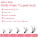 Ruairie 200 Pcs CD Curl Wispy Eyelash Clusters DIY Extensions Individual Lashes 8-16MM Black - Buy Online on GoSupps.com