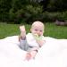 Green Sprouts Cool Fruit Teether - Green Apple for 3+ Months - Buy Online on GoSupps.com