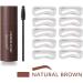 Kit 1-Step Brow Stamp and Shaping Kit Waterproof Shaping Set with 10 Eyebrow Styling Mode Card(Brown 1 Set) Natural Brown*1 - Buy Online on GoSupps.com