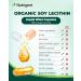 Nutrigent USDA Organic Soy Lecithin Supplement 800 mg, High Absorption Liquid Organic Capsules, Choline Lecithin Supplement for Brain & Liver Health Support, Non-GMO, Gluten Free, 60 Count - Buy Online on GoSupps.com
