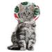 ComSaf Cat Recovery Collar, Lightweight Pet Elizabeth Collar, Soft Adjustable Cat Cone Collar After Surgery for Cat Kitten Prevent from Licking Wounds, Loops-Protective Healing, Not Block Vision Watermelon-M(Neck:7-8in)