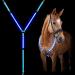 Frienda LED Light Horse Breastplate Collar Adjustable Visibility Tack Equestrian Safety Gear with 3 D-Ring 3 Lighting Modes for Night Horse Back Riding Horse Show (1 Piece, Blue)