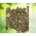 RAW HERBS/JADI BOOTI GAOZABAN GAOJABAN SEDGE ONOSMA BRACTEATUM BORAGO OFFICINALIS GOJIVHA (50GM) - Buy Online on GoSupps.com