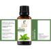 Cornmint Oil (Mentha Arvensis) - 100% Pure Natural Essential Oil - Therapeutic Grade - 0.33 FL.OZ (1 Pack) - International Shipping Available - Buy Online on GoSupps.com