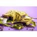 Cute pistacia cream 40 pistachio 3 x 190 g brontedolci Italy - Buy Online on GoSupps.com
