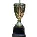 Express Medals Trophy Cups - Various Styles for Award Winners and Champions - Buy Online on GoSupps.com