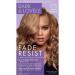 Dark and Lovely Fade Resistant Rich Conditioning Color Hair Color Honey Blonde 378 Brown 1 piece (1 pack)
