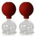 Lauschaer glass cupping glasses with ball 2 pieces 65mm for professional medicine fireless cupping cupping glass cupping glasses Lauschaer glass the original