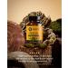 Mushroom Wellness Turkey Tail Blend with Reishi: Organic Turkey Tail & Reishi Mushroom Capsules, Mushroom Powder Supplement, Traditional Immune, Energy & Vitality Support, 90 Vegan Capsules - Buy Online on GoSupps.com