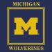 Michigan Wolverines Party Supplies - Serves 16 | 48-Piece Set - Buy Online on GoSupps.com