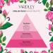 Yardley Of London English Rose Eau de Toilette Spray for Women 4.2 Ounce 4.2 Fl Oz (Pack of 1) - Buy Online on GoSupps.com