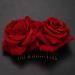 Herklotzn Hair Clip Slide Flamenco Dancer Lady Hairdressing Hair Accessories - Buy Online on GoSupps.com