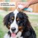 Mighty Mutt Hypoallergenic Waterless Shampoo for Dogs - Dry Foam Anti-Itch Relief | No Rinse Soothing & Deodorizing | Fresh Breeze 8oz - Buy Online on GoSupps.com
