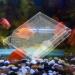 Aquarium Salinity Tester - Fish Tank Salt Meter for Saltwater and Ponds - Buy Online on GoSupps.com