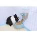 RUBYHOME Hanging Pet Bowl for Crates & Cages - Ideal Cage Feeder for Small Animals, Cats, Puppies - Automatic Feeder for Ferrets, Rabbits - Buy Online on GoSupps.com