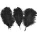10pc Black Ostrich Feather Plume 12-14 inch for Home Wedding Decor - Buy Online on GoSupps.com