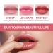 Moisturizing Lip Oil for Dry, Chapped Lips | Desalinate Lip Lines | 7.5ml Lip Kit (Clear) - Buy Online on GoSupps.com