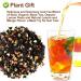 Plant Gift Hawaiian Black Tea Oganic Fruit Herbal Tea All Natural Flavors Loose Leaf Ceylon Roselle Papaya Pineapple Mango Grape Lemon Non GMO Vegan Tea Bags Into Iced Tea & Hot Tea 70G/2.5oz - Buy Online on GoSupps.com