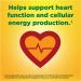 Nature Made CoQ10 100mg Gummies 60 Count - Heart Health & Energy Support - Buy Online on GoSupps.com