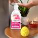 Buy Invigorating Rosewater Hand Soap 16 Oz - Moisturizing & Eco-Friendly Bundle with Bath Sponge | Vitamin E & B5 | Non-Toxic | Pack of 4 - Buy Online on GoSupps.com