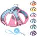 AIITLE Step in Dog Harness and Leash Set - Dog Vest Harness with Super Breathable Mesh, Reflective No-Pull Pet Harness for Outdoor Walking, Training for Small and Medium Dogs, Cats XX-Small Pink