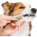 2 Pcs Dog Cat Toothbrush 360 Degree Soft Silicone Pet Toothbrush Small Puppy Kitten Toothbrushes Tiny Soft Dog Toothbrush Cat Dental Care Deep Clean Pet Teeth Cleaning Kit for Dogs Cleaning Mouth - Buy Online on GoSupps.com