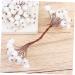 HOMSFOU 400pcs Xmas Berries Branches Red Berries Wreath Pick Christmas Holly Stem Faux Berry Ornament Fake Berries Berry Branches Diy Garland Accessories White Small Particles Material White Size 1 - Buy Online on GoSupps.com
