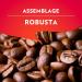Lavazza - Caf Moulu Il Mattino - Arabica et Robusta - Intensit 10 - 250 g (Lot de 5) - Buy Online on GoSupps.com