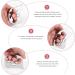LYNNRICK Stainless Steel Guasha Massage Tool | IASTM Soft Tissue Scraping for Back & Legs - Buy Online on GoSupps.com