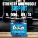 Creatine Monohydrate Gummies - 5g Strength Boost Sugar Free Vegan Blueberry Flavor - 120 Count - For Men & Women - Buy Online on GoSupps.com