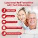 Red Yeast Rice with Coq10 Gummies Red Yeast Rice 2400 mg with CoQ10 200 mg for Cholesterol Support Heart Health Supplement Sugar Free Non-GMO Vegan 120 Counts - Buy Online on GoSupps.com