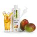 Asvita beverage concentrate Fresh Mix 1: 80-1l bottle including dosing pump - drinks syrup sugar -free - 26 delicious flavors (mango)