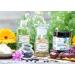 Herbal Ointment from SonnenMoor - Fast Legs Vein Cream for Stressed Skin & Legs | 90g Glass Jar - International Shipping - Buy Online on GoSupps.com
